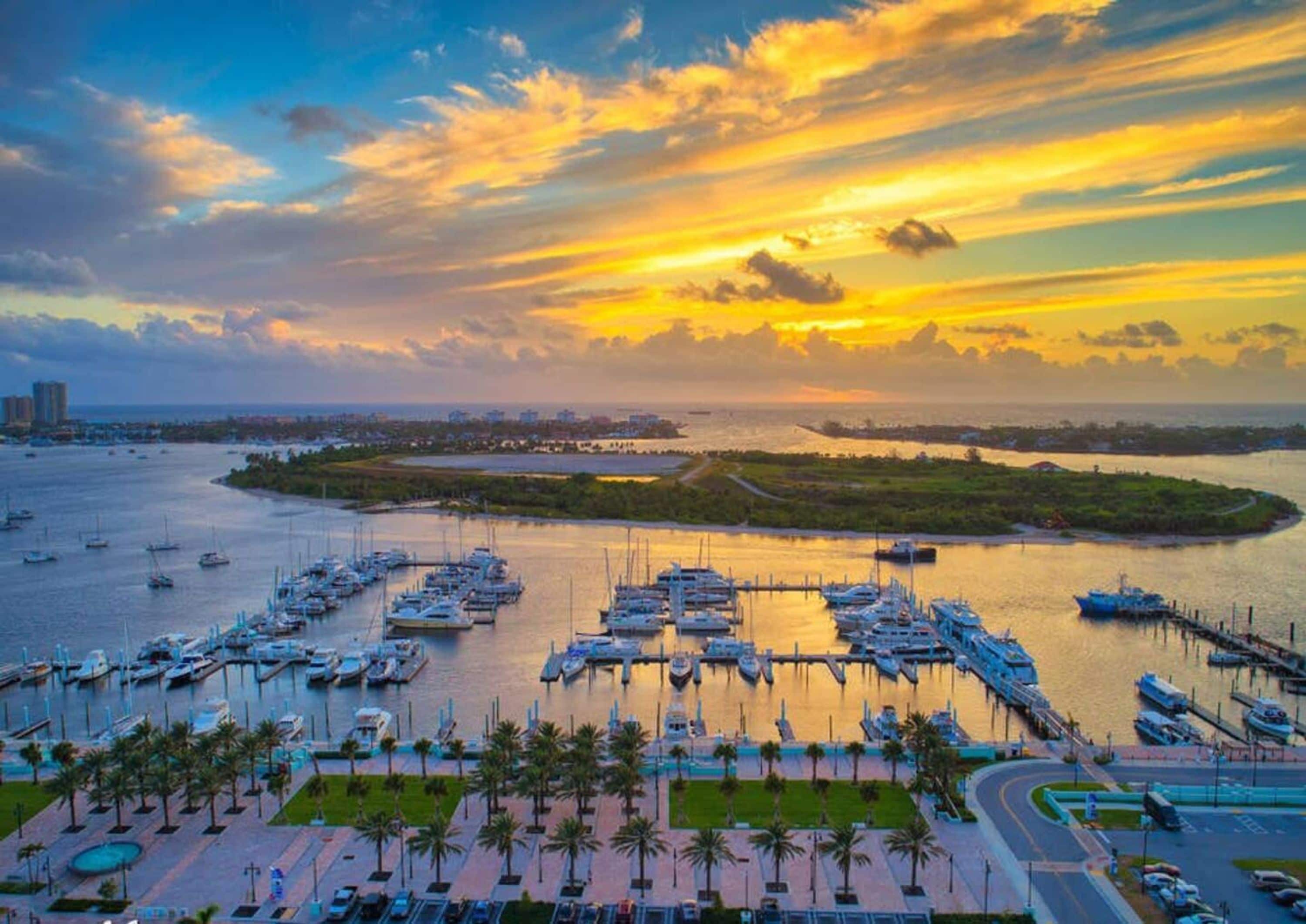 Căn hộ | 3 phòng ngủ 