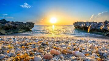 Appartement | 3 chambres