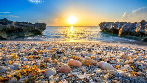 Een strand met een zonsondergang, rotsformaties en diverse schelpen.