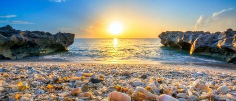 Huis | 4 slaapkamers