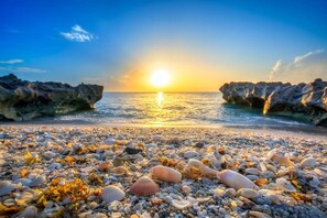 A beach with a sunset, rocky formations, and a variety of seashells. - 4br Private Guest Suite Pool PGA Beaches (Palm Beach Gardens)