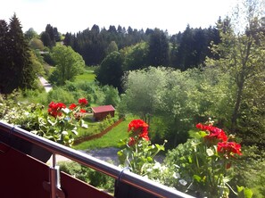 Property grounds - Apartment '5' with Shared Terrace, Balcony and Wi-Fi (Dachsberg (Südschwarzwald))