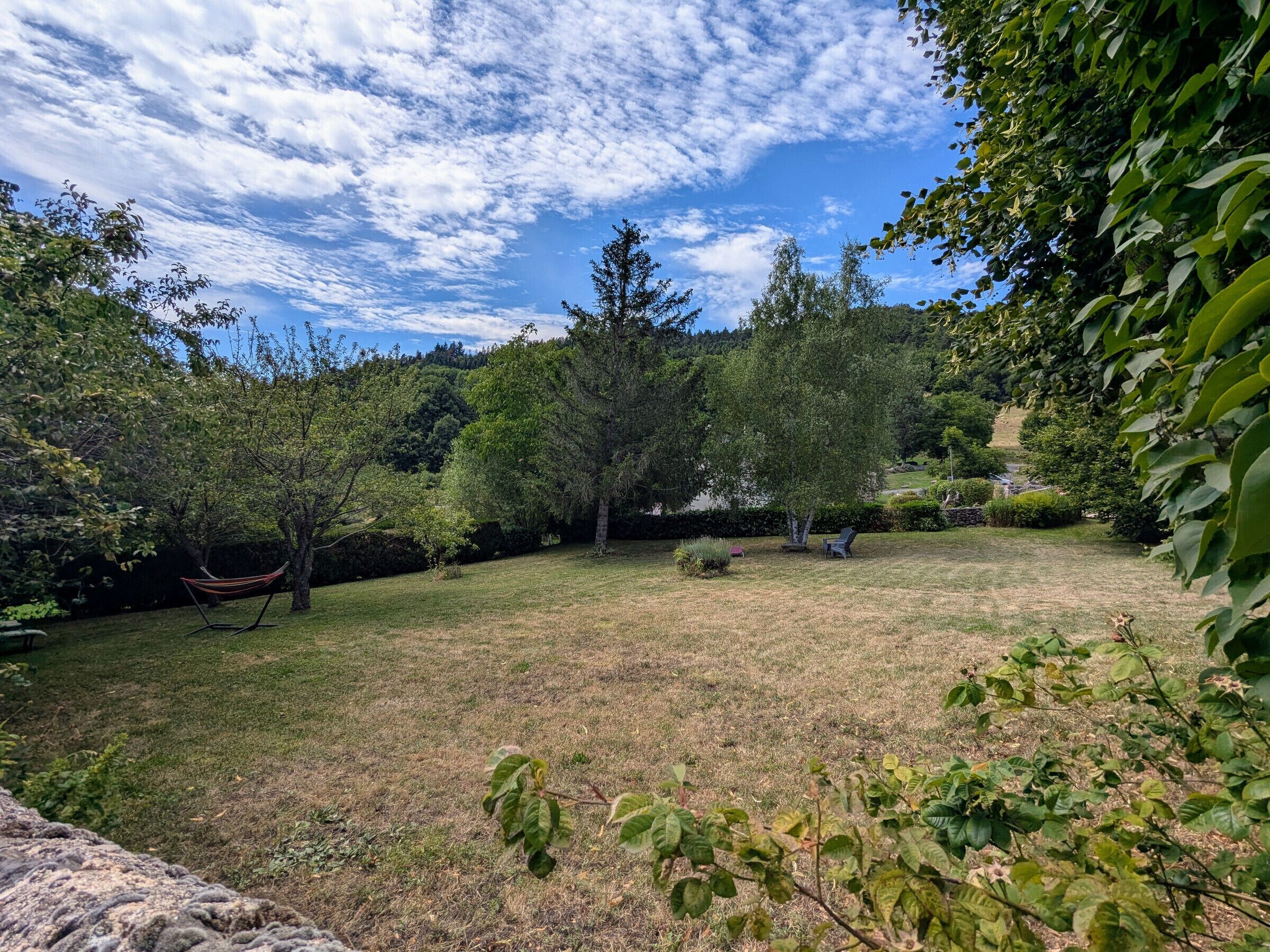 A grassy backyard with trees, a hammock, and two chairs.