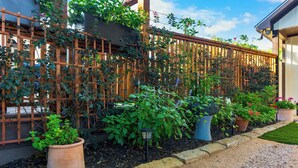 A garden with a wooden fence, potted plants, and a gravel pathway. - Secret Garden Cottage - Walk to Main St. (Fredericksburg)