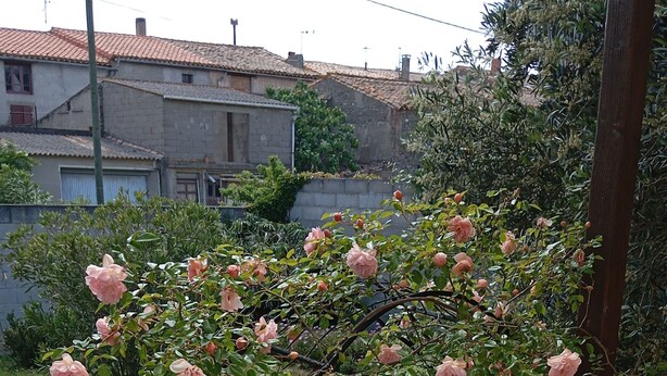 A garden with pink roses and a tiled patio area. - At Lia and Danny's (Rieux-Minervois)