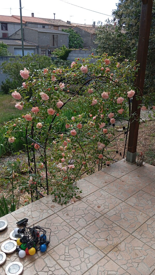 Terrein van de accommodatie