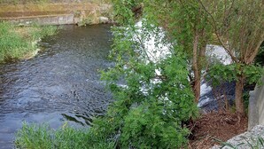A small, calm water body with surrounding greenery and a concrete wall. - At Lia and Danny's (Rieux-Minervois)