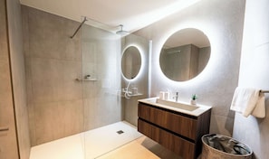 Regadera, amenidades de baño gratuitas, secadora de cabello, toallas 