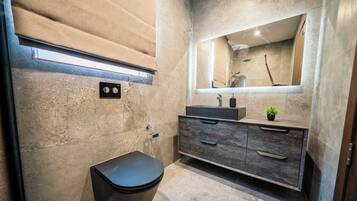 Een moderne badkamer met een grote spiegel, een zwart toilet, een houten wastafelmeubel en een kleine plant.