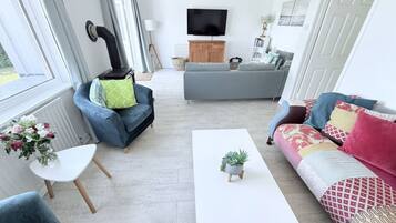 TV, fireplace, books