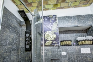 Shower, hair dryer, towels