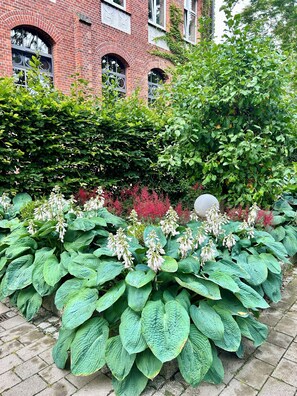 Un jardin avec de grandes plantes vertes et, au fond, un bâtiment en briques.