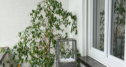 Stylish, spacious & modern apartment in the heart of the district of St. Wendel.