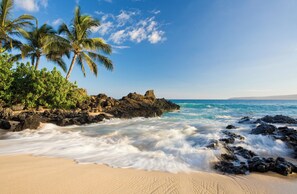 Une plage avec des affleurements rocheux, des palmiers et des vagues.