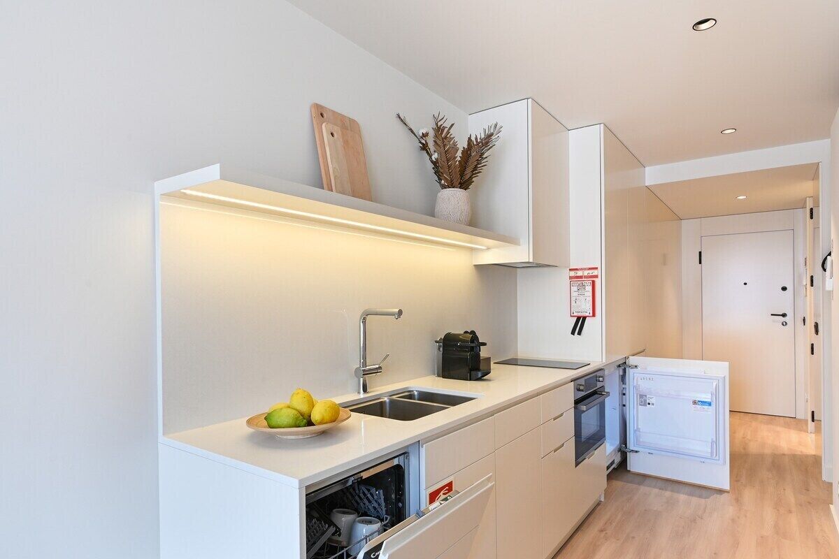 Frigorífic, microones, placa de cuina i rentaplats 