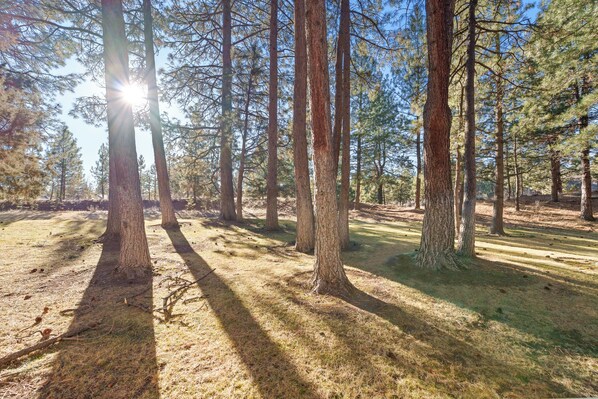 Miscellaneous - New Listing! Pineview Getaway | Mt. Bachelor Village Condo Near River Trail (Bend)