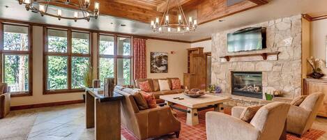 Télévision, cheminée, espaces bureaux