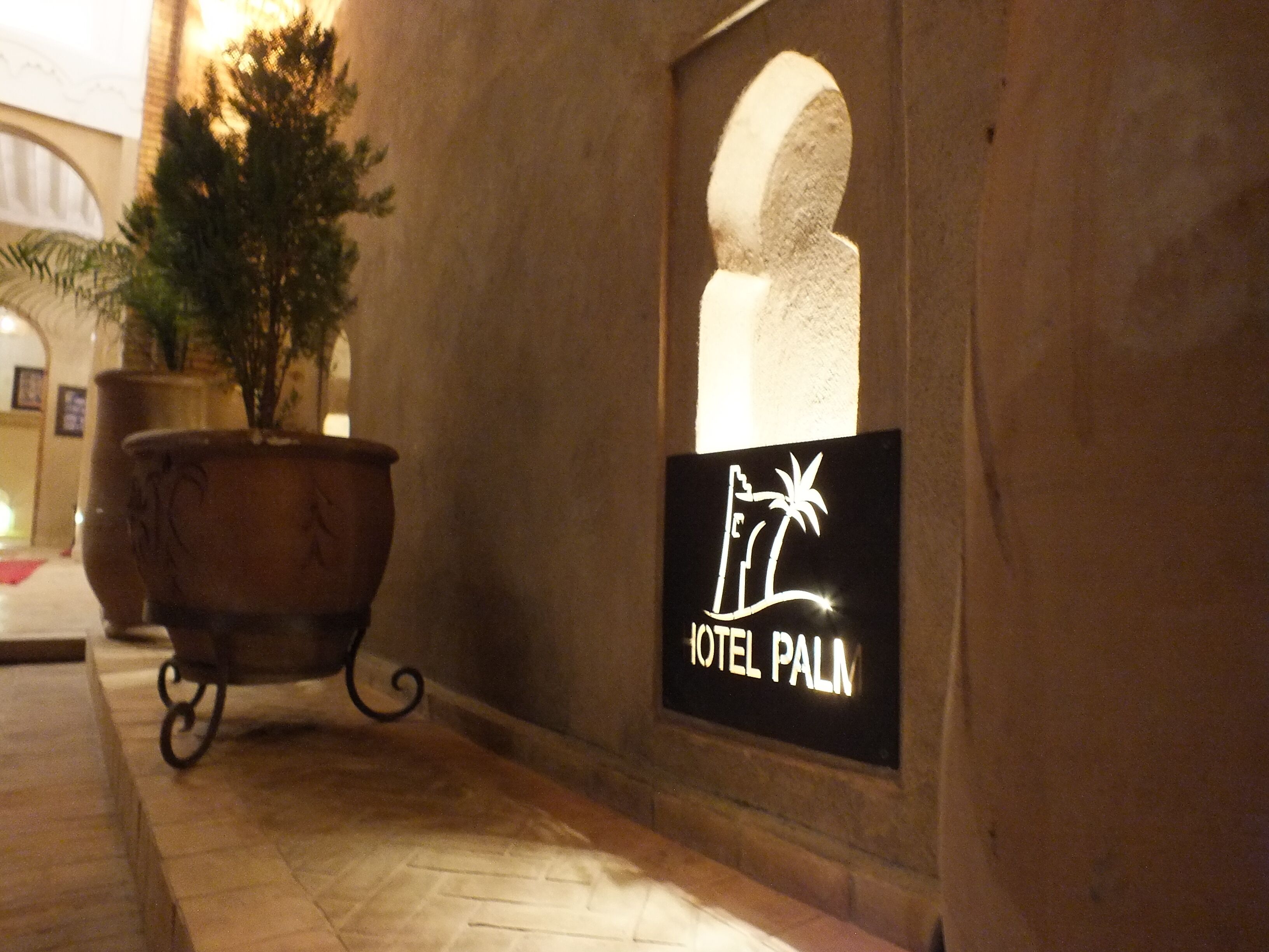 A potted plant and a sign for Hotel Palm.