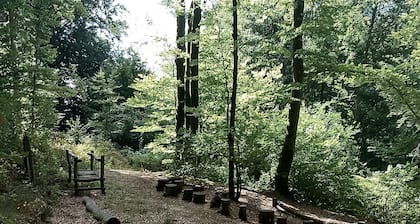 Vacation apartment for nature lovers / hikers and star lovers