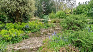 Un chemin de pierres dans un jardin où poussent différentes espèces de plantes, ainsi qu’un pont en bois.