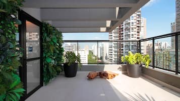 Terraço/pátio