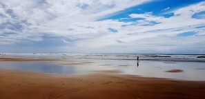 Nära stranden