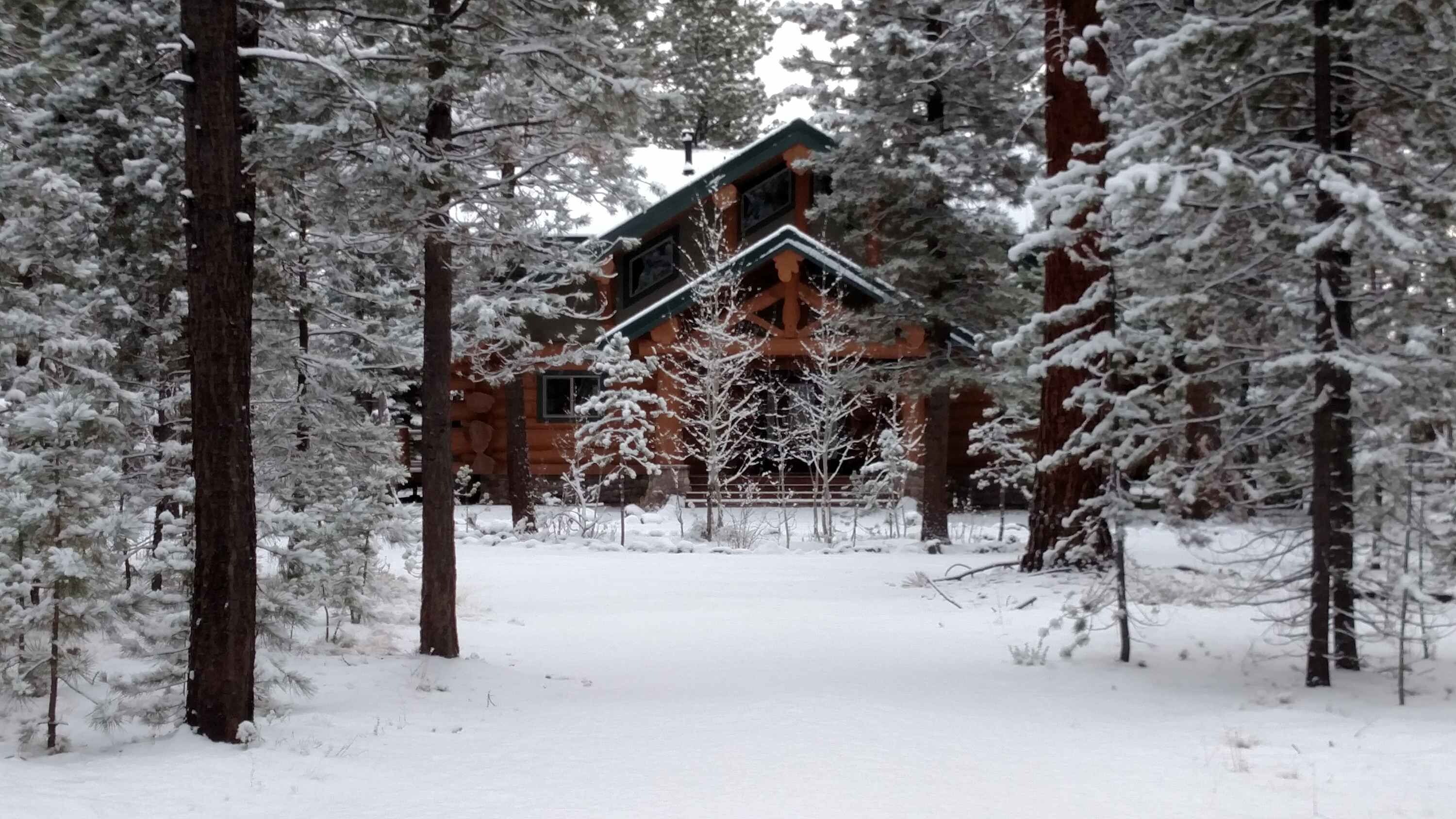 Una cabaña de troncos rodeada de árboles cubiertos de nieve.