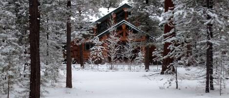 A log cabin surrounded by snow-covered trees.