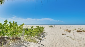 A sandy beach with a clear sky, a path leading to the ocean, and some vegetation.