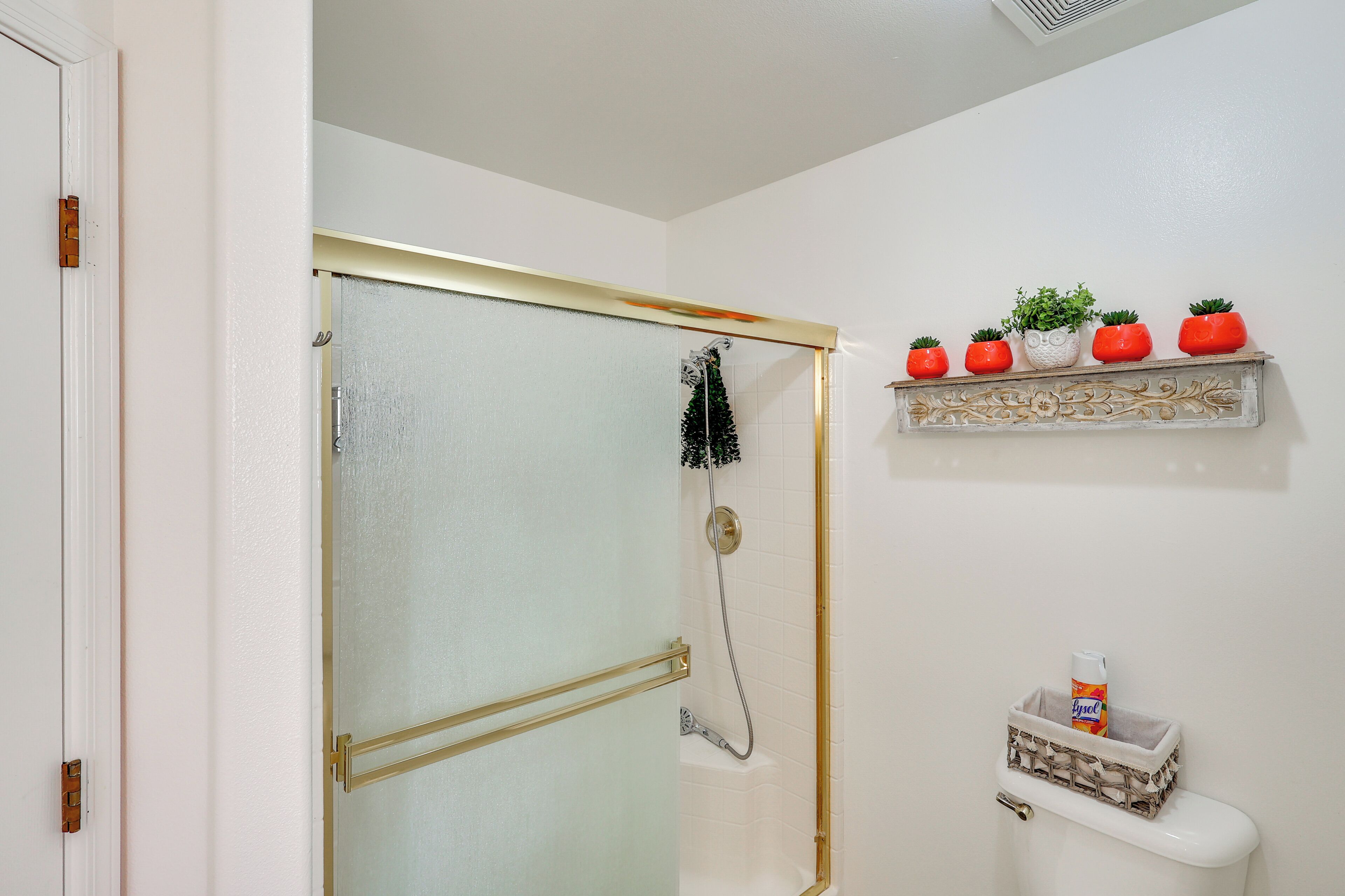 Een badkamer met een glazen deur, een douche, een toilet en een plank met planten en een toiletrolhouder.