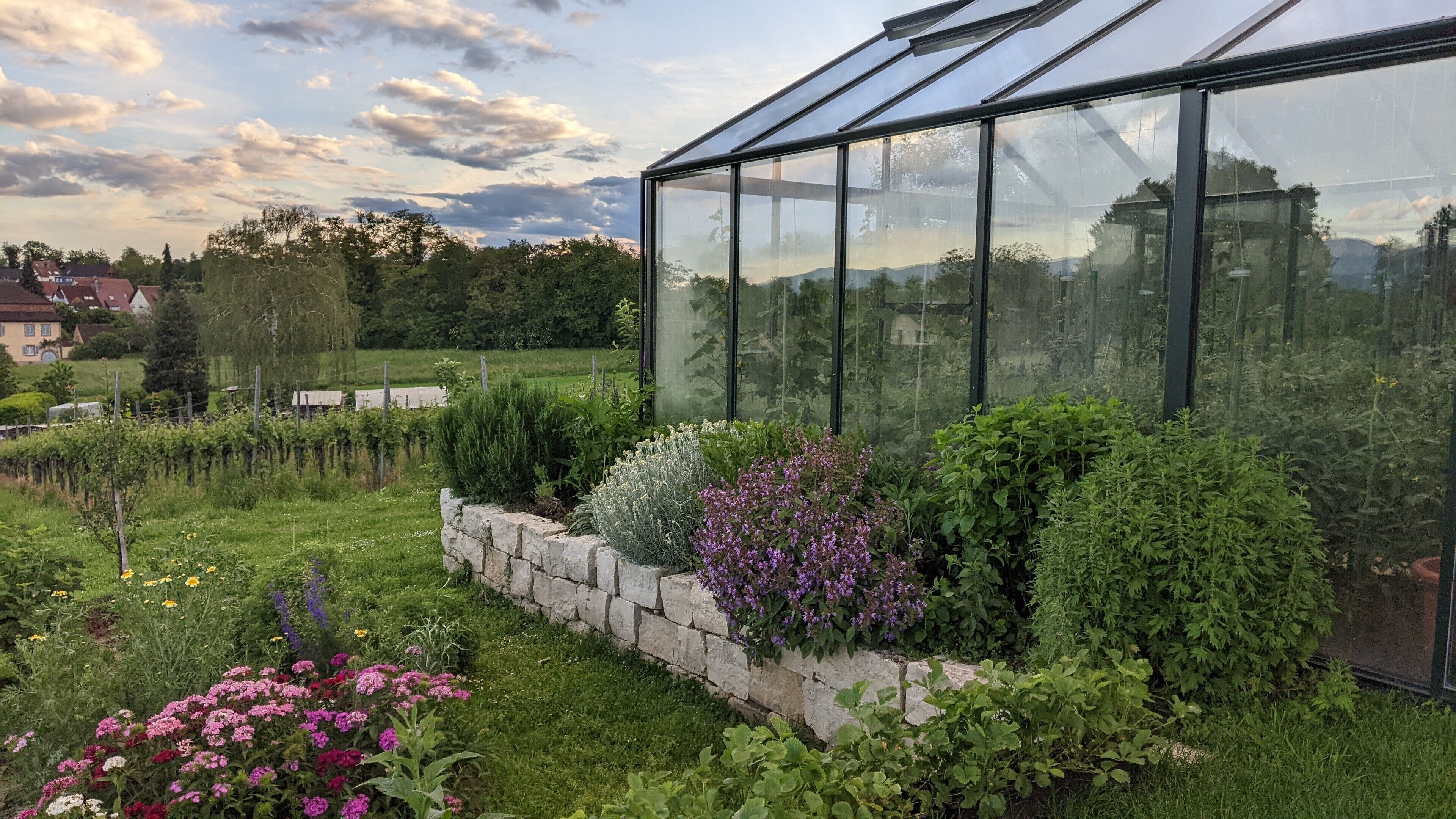 Enceinte de l’hébergement