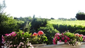 Property grounds - Holiday Apartment '3, 37 sqm' with Mountain View, Wi-Fi and Air Conditioning (Freiburg im Breisgau)