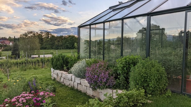 Une serre dotée d’un mur de soutènement en pierre, abritant diverses plantes, sous un ciel dégagé.