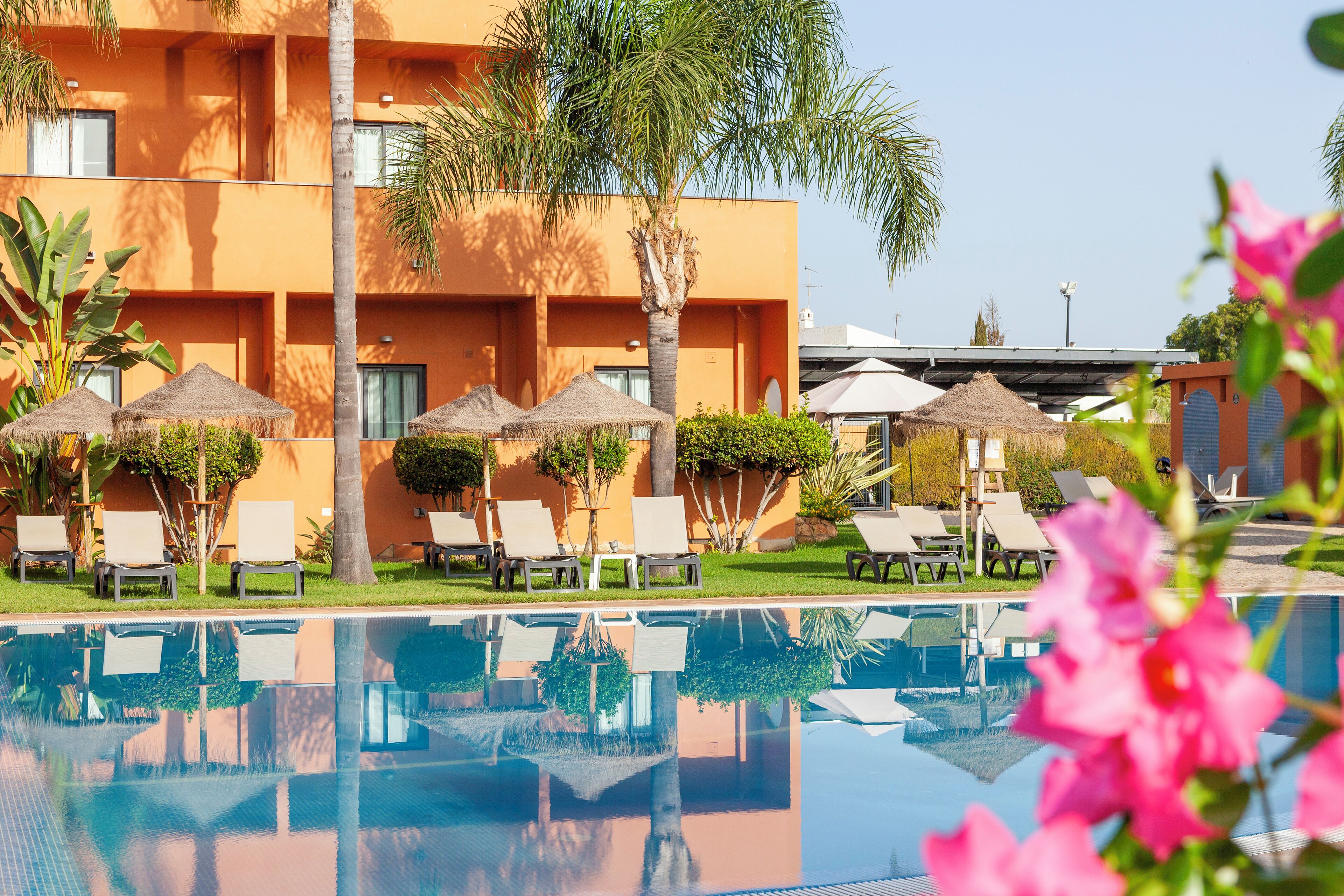 季節性室外泳池；09:00 至 20:00 開放；泳池傘、躺椅