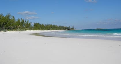 Laughing Bird Studio #7 - Brand New Stylish Apartment, Pool, Bea 1 Bedroom Condo