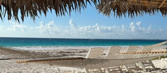 Hibiscus Hill Guest House - Elegant Garden Oasis, Pink Sand Bch 4 Bedroom Home