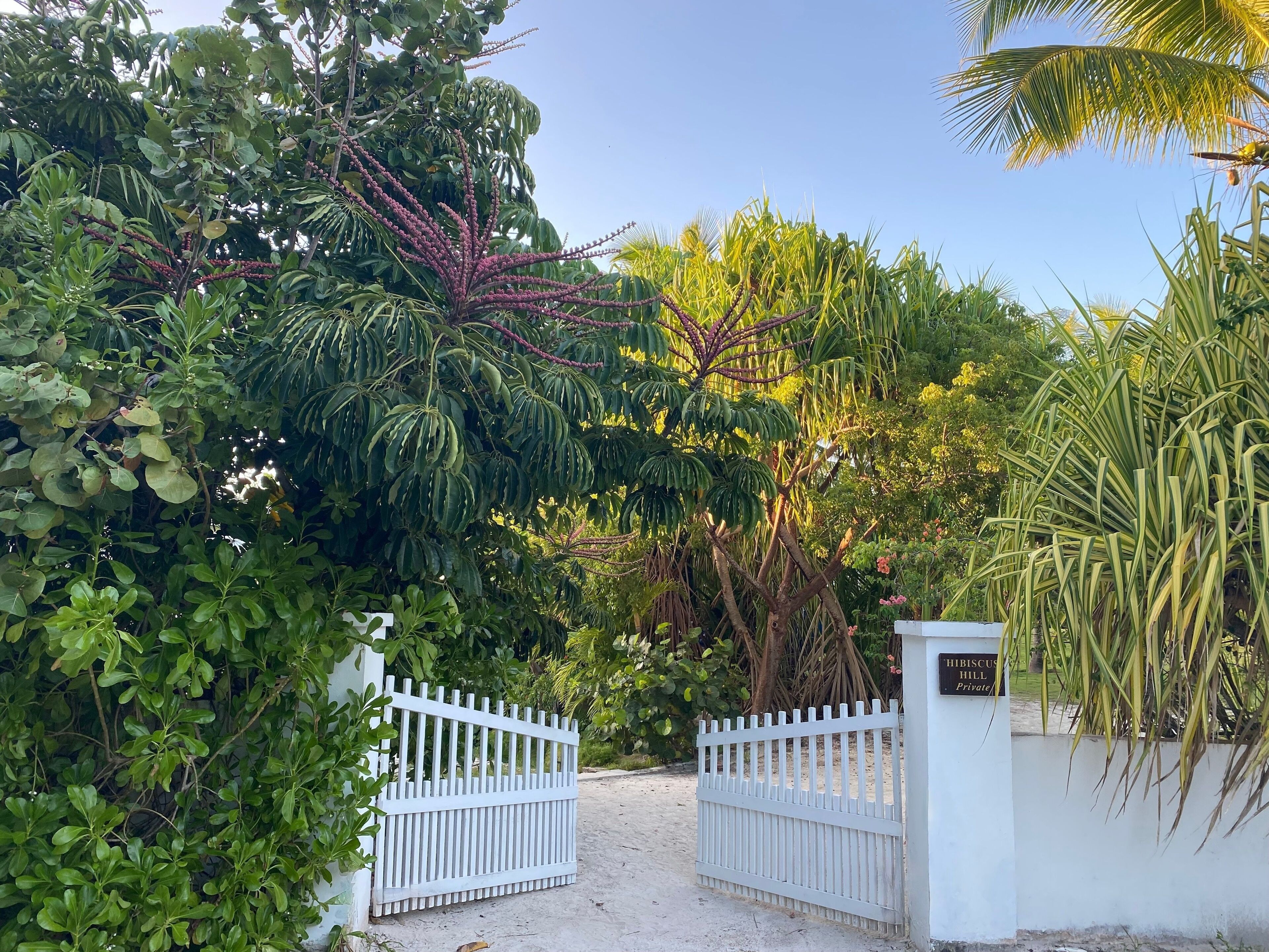 House, 4 Bedrooms | Property grounds
