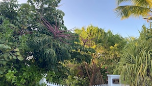 A gated entrance with lush greenery and a sign indicating 'Hibiscus Hill Private'.