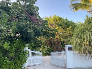 House, 4 Bedrooms | Property grounds - Hibiscus Hill Guest House - Elegant Garden Oasis, Pink Sand Bch 4 Bedroom Home (Dunmore Town)
