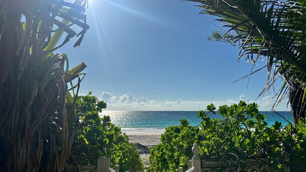 A beach view with a wooden fence and lush greenery.