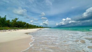 Ein Strand mit klarem türkisblauem Wasser, einem Sandstrand und einer Baumreihe im Hintergrund.