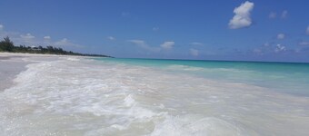 Turtle Pointe - Lux New Windermere Home W/pool, Boat Dock, Beach 3 Bedroom Home