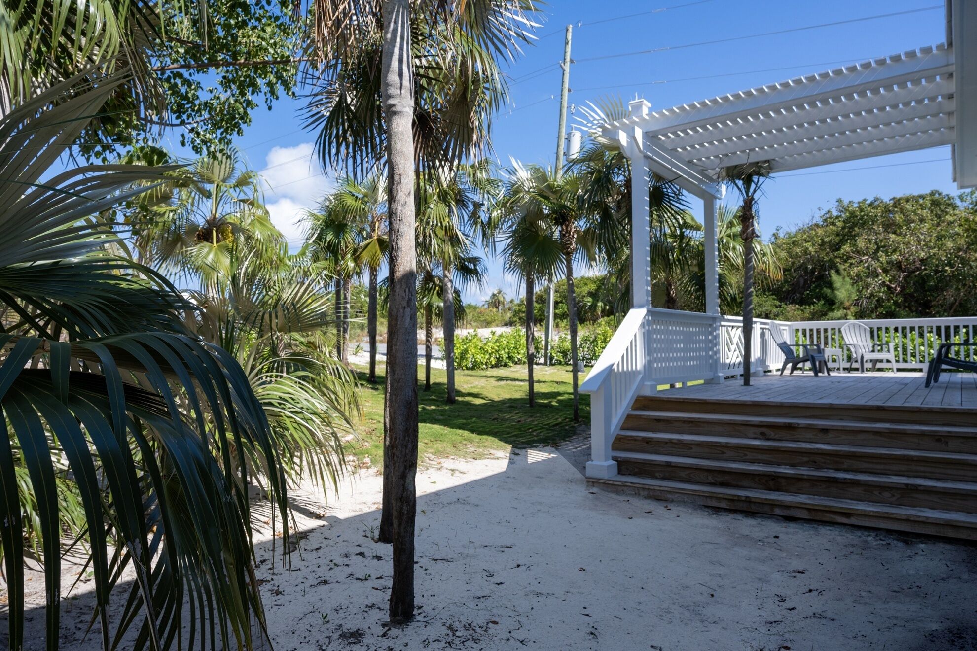 A covered outdoor area with steps leading to a white pergola, surrounded by palm trees and a sandy ground.