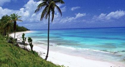 On The Dune - Beachfront Cottage With 50 Mile Ocean View, Pool 2 Bedroom Villa