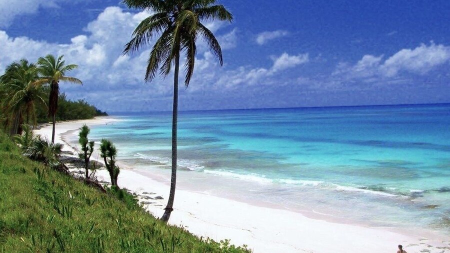 On The Dune - Beachfront Cottage With 50 Mile Ocean View, Pool 2 Bedroom Villa