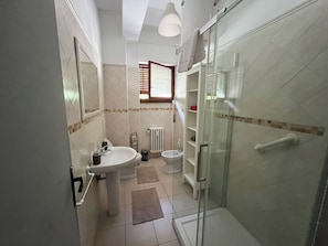 Hair dryer, bidet, towels, soap
