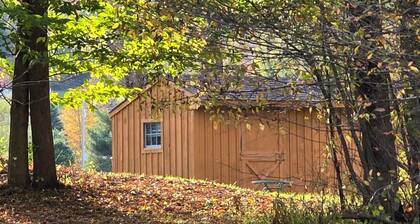 Lovely 1-bedroom Rustic Cabin in Roseboom NY, just 12 miles from Cooperstown