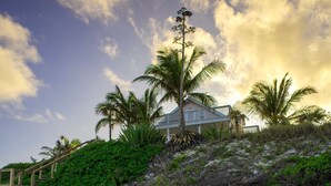 A beachfront property with a large house, palm trees, and a staircase leading up to the house. - Veselka - Remodeled Home On Double Bay Beach 3 Bedroom Home (Double Bay)