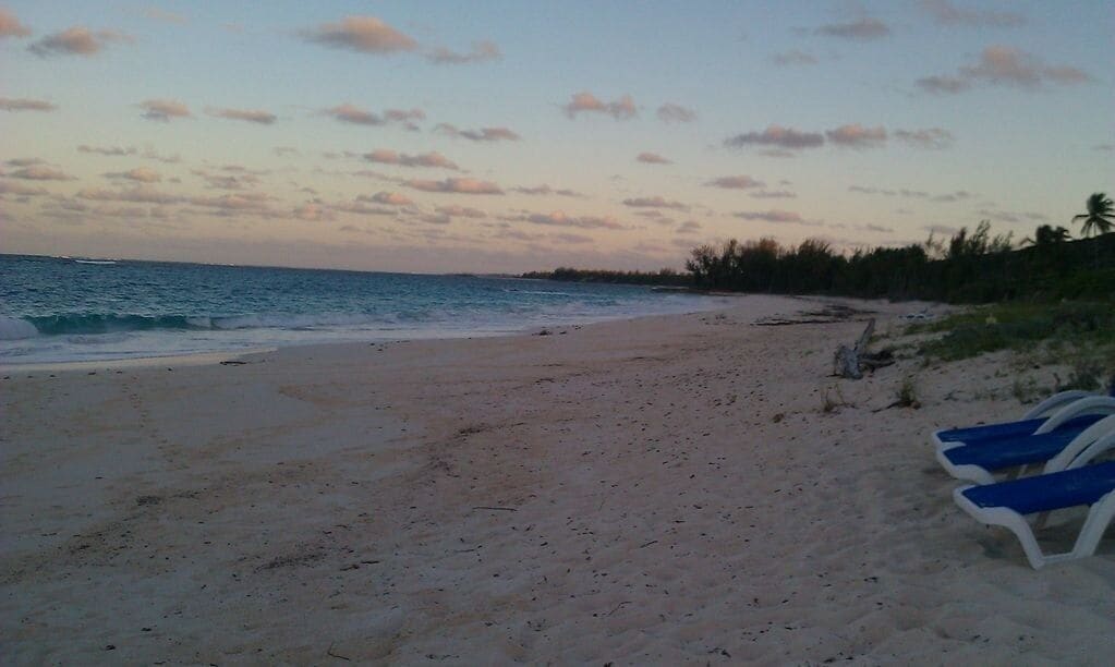 Une plage avec un ciel dégagé et une mer calme. Des chaises longues bleues et blanches sont disposées le long du rivage.