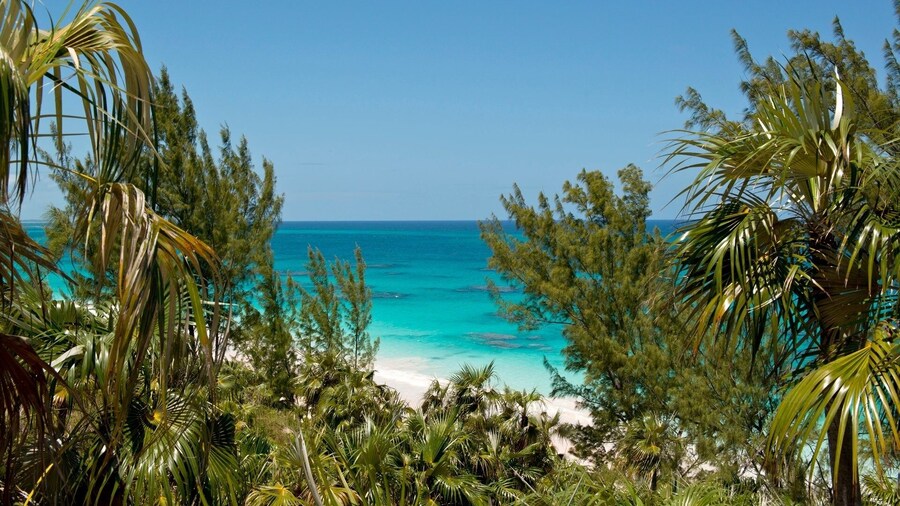 Hohum - Private Beachfront House On Exclusive Windermere 3 Bedroom Home